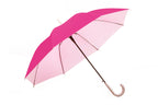 AU-07 - Auto Open Steel Frame UV Coated Solid Colour with Silver Plastic Hook Handle