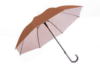 AU-07 - Auto Open Steel Frame UV Coated Solid Colour with Silver Plastic Hook Handle