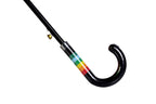 AU-46: Auto Fibreglass Ribs Metal Shaft Pongee Rainbow with Hook Leather Handle