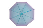 AU-32C: Auto open POE umbrella with matching plastic hook handle